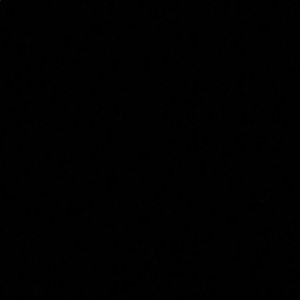 Meet your Posher, Catie